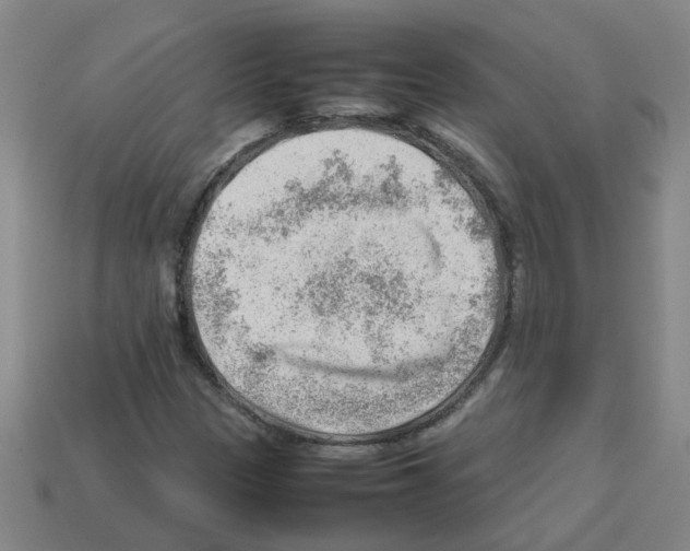 X0000112811305200910021132
