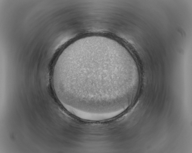 X0000112811306200910021132