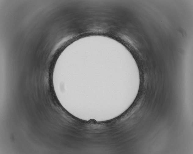 X0000112811307200910021132