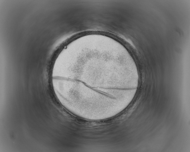 X0000112811311200910021132