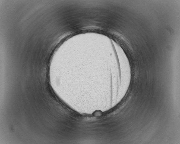 X0000112811313200910021132