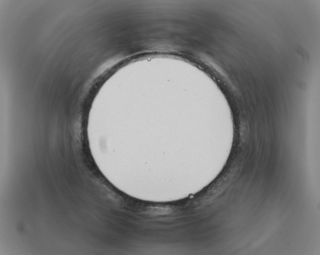 X0000112811315200910021132