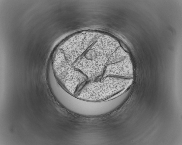 X0000112811316200910021132