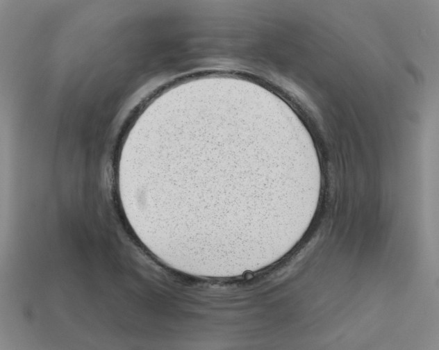 X0000112811318200910021132