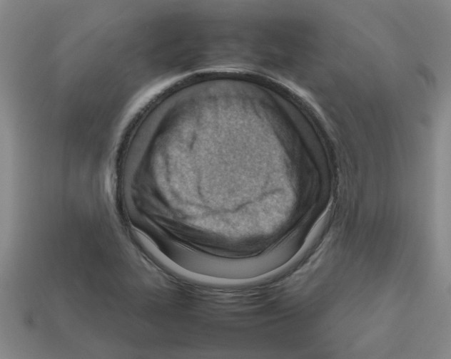 X0000112811319200910021132