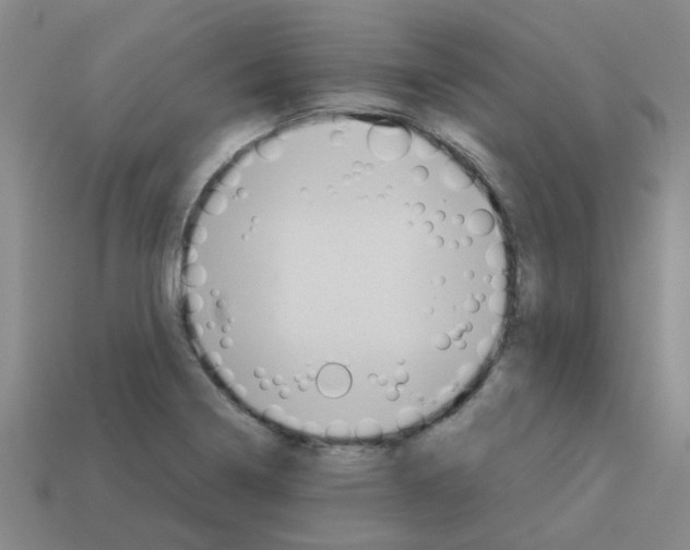 X0000112811322200910021132