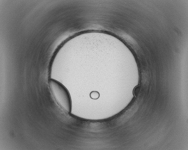 X0000112811326200910021132
