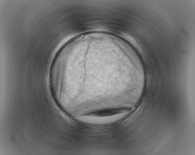 X0000112811331200910021133