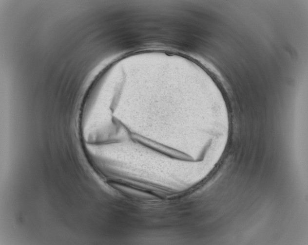 X0000112811333200910021133