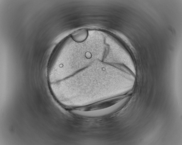 X0000112811335200910021133