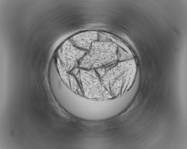 X0000112811336200910021133