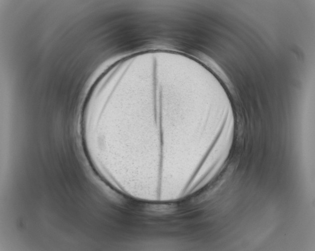 X0000112811339200910021133