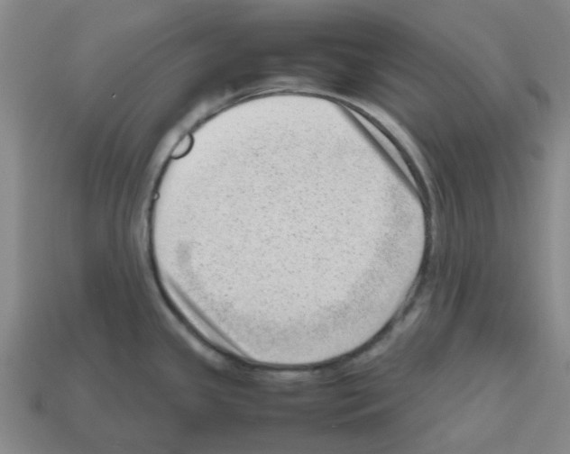 X0000112811341200910021133
