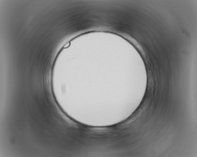 X0000112811343200910021133