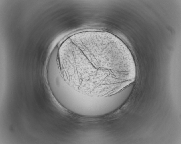 X0000112811344200910021133