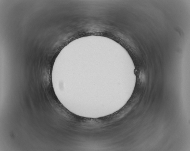 X0000112811348200910021132