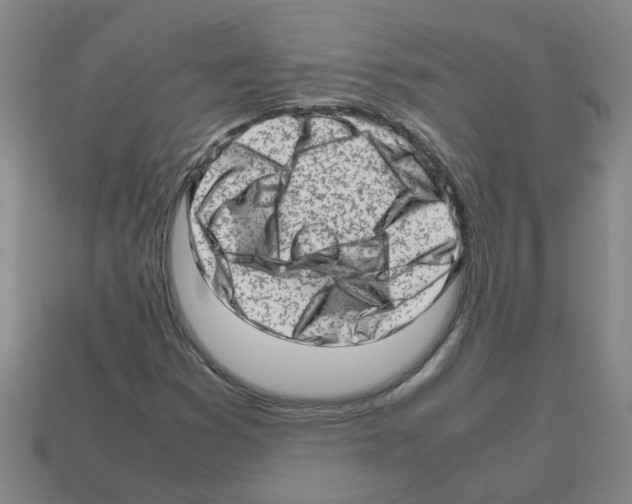 X0000112811353200910021132