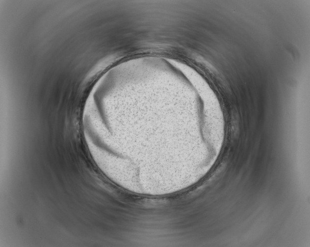 X0000112811354200910021132