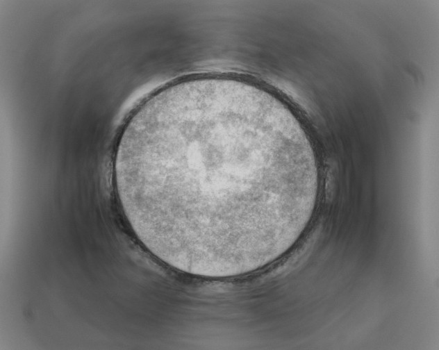 X0000112811358200910021132