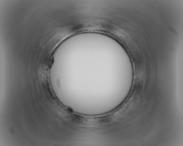 X0000112811361200910021132