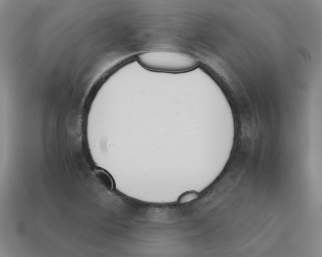 X0000112811364200910021132