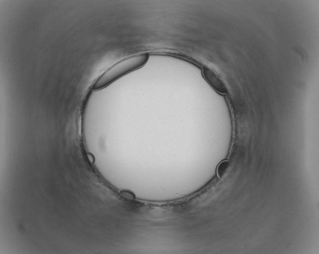 X0000112811365200910021132