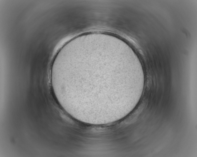 X0000112811366200910021132