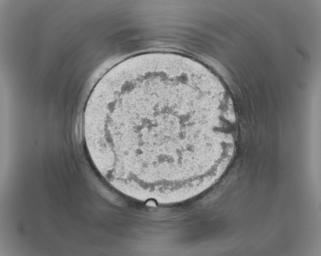 X0000112811371200910021132