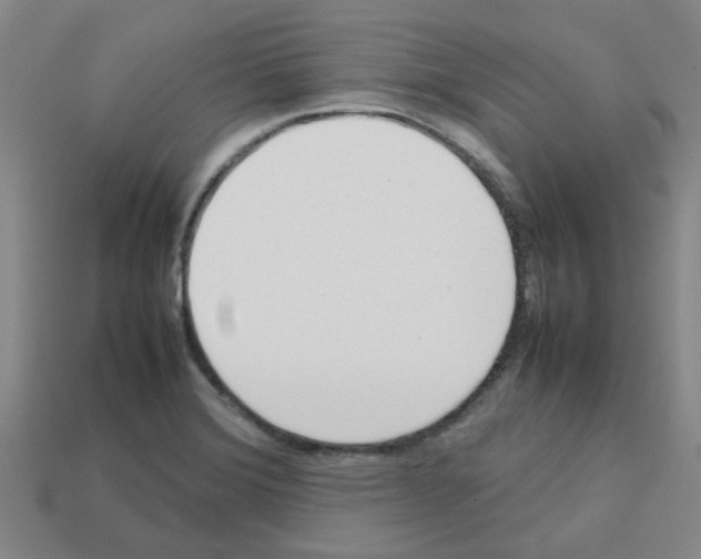X0000112811372200910021132