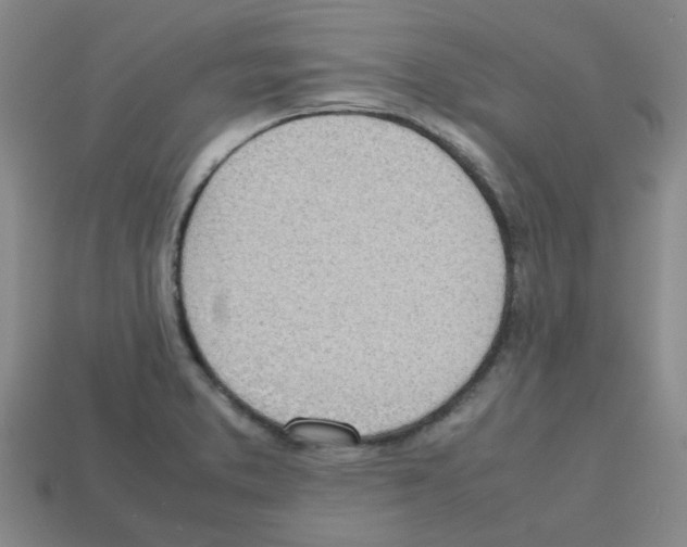 X0000112811373200910021132
