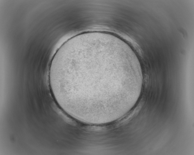 X0000112811374200910021132