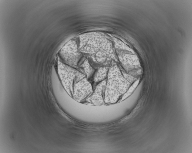 X0000112811377200910021132