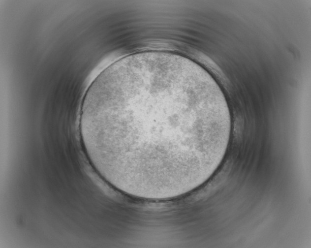 X0000112811378200910021132