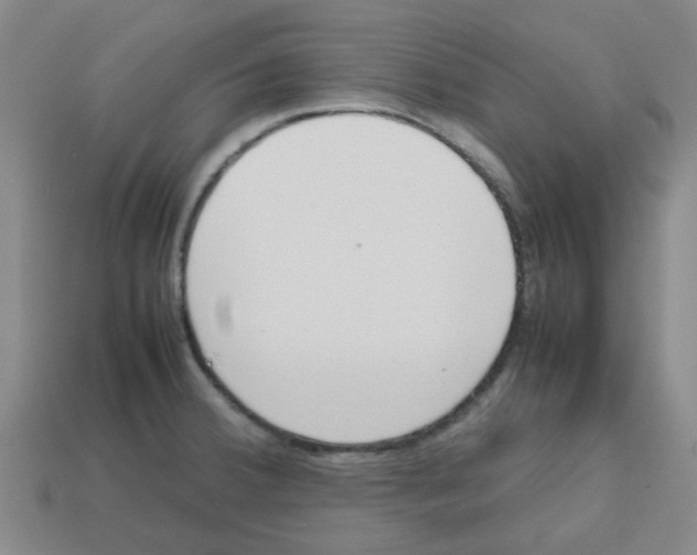 X0000112811380200910021132