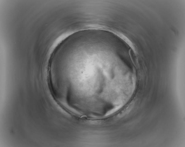 X0000112811381200910021132