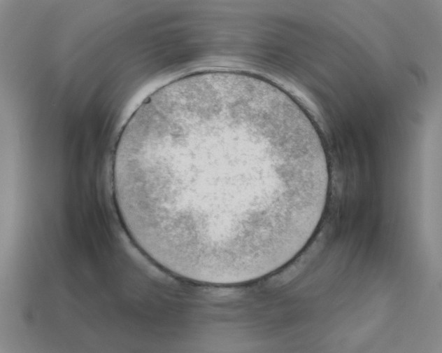 X0000112811382200910021132
