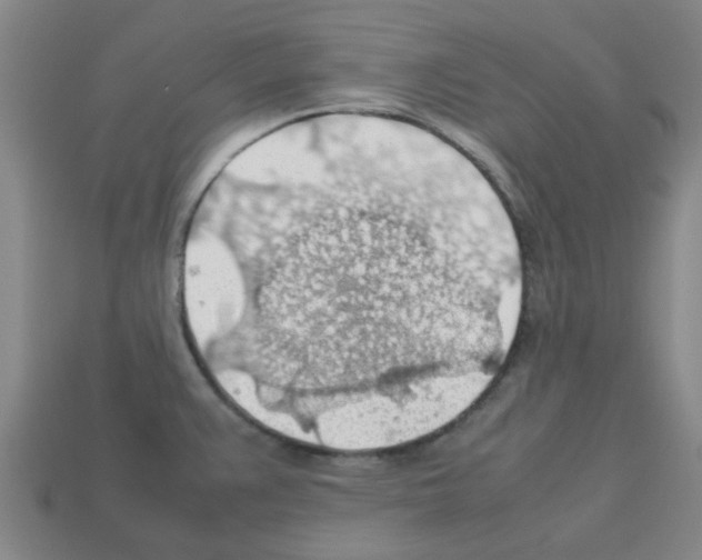 X0000112811383200910021132