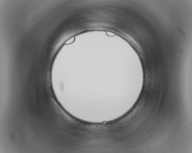 X0000112811384200910021132