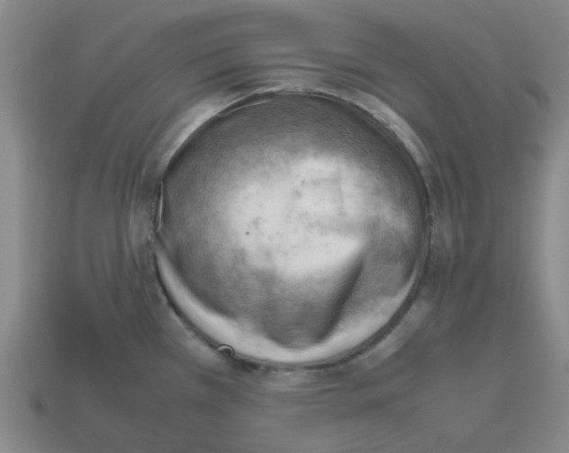 X0000112811385200910021132