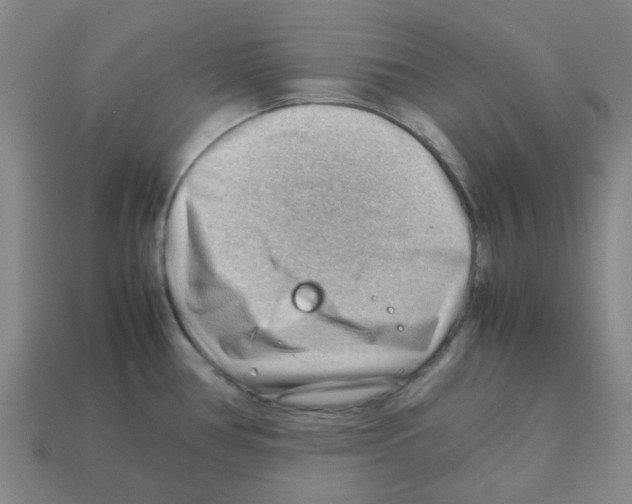 X0000112811386200910021132