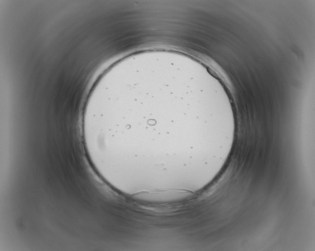 X0000112811388200910021132