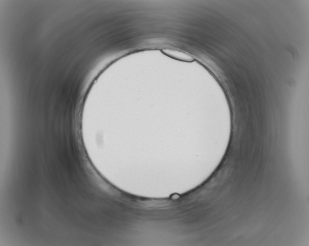 X0000112811392200910021132