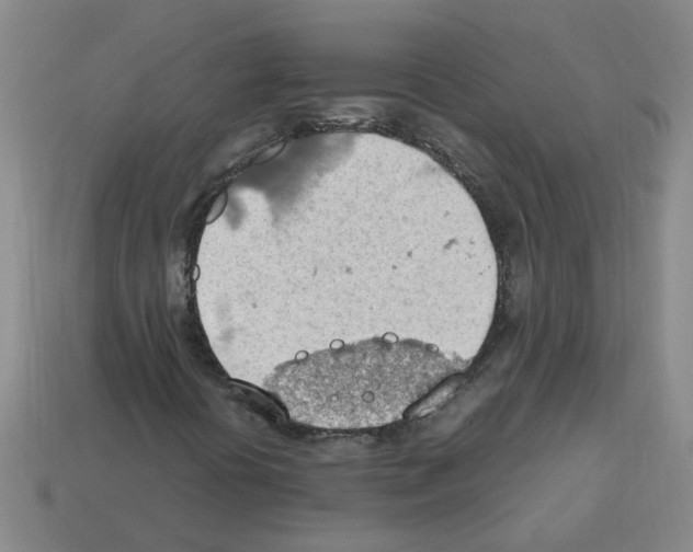 X0000112811394200910021131