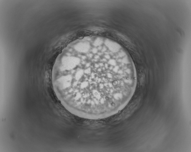 X0000112811397200910021131
