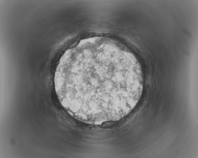 X0000112811398200910021131