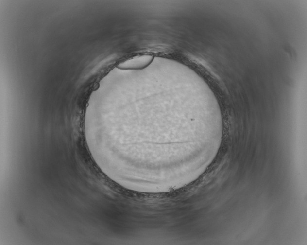 X0000112811399200910021131