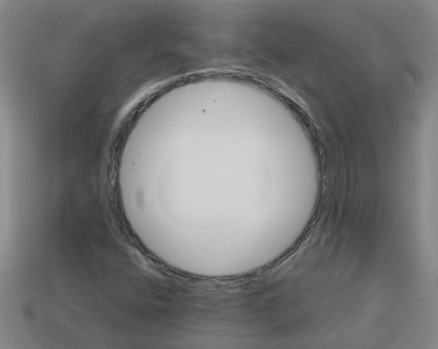 X0000112811400200910021131