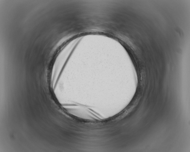 X0000112811404200910021131