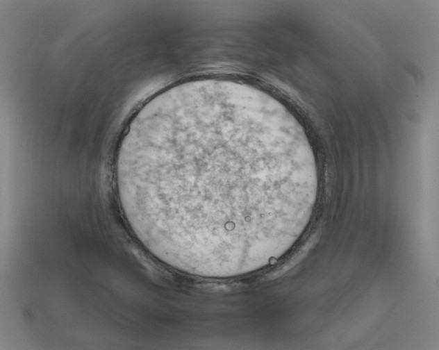 X0000112811405200910021131