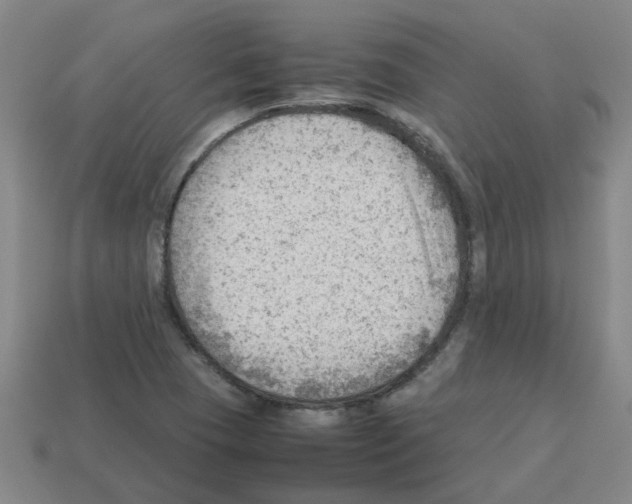 X0000112811409200910021131
